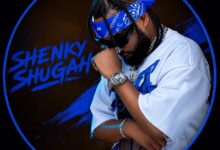 Shenky - Teti Bayaze Mp3 Download